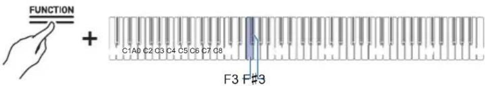 FUNCTION + C1A0 C2 C3 C4 C5 C6 C7 C8 F3 F#3