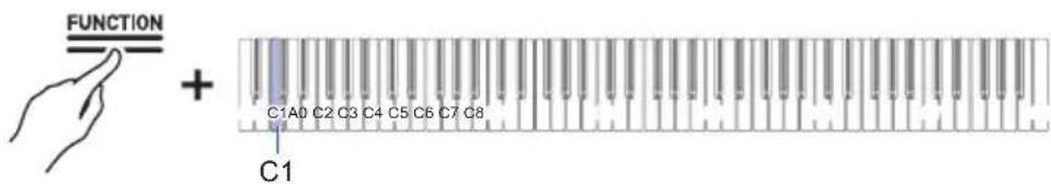 FUNCTION + C1A0 C2 C3 C4 C5 C6 C7 C8 C1