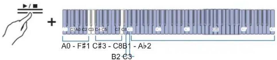 C1A0 C2 C3 C4 C5 C7 C8 A0 - F#1 C#3 - C8B1 - Ab2 B2 C3-