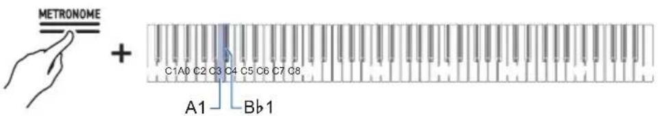 METRONOME + C1A0 C2 C3 C4 C5 C6 C7 C8 A1 Bb1