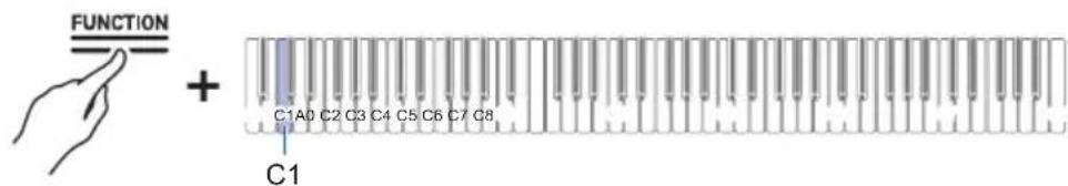 FUNCTION + C1A0 C2 C3 C4 C5 C6 C7 C8 C1
