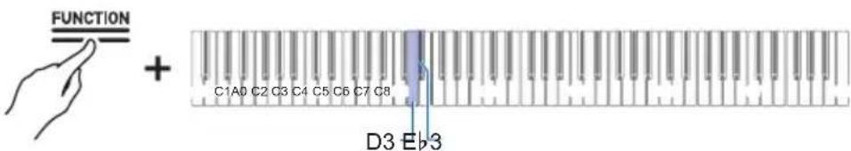 FUNCTION + C1A0 C2 C3 C4 C5 C6 C7 C8 D3 Eb3
