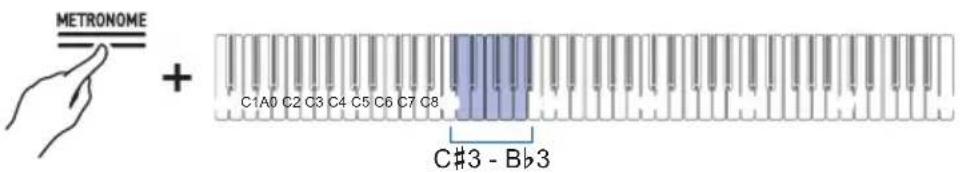 METRONOME + C1A0 C2 C3 C4 C5 C6 C7 C8 C#3 - Bb3