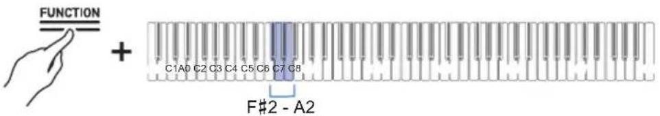 FUNCTION + C1A0 C2 C3 C4 C5 C6 C7 C8 F#2 - A2