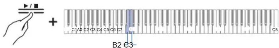 C1A0 C2 C3 C4 C5 C6 C7 B2 C3- C8
