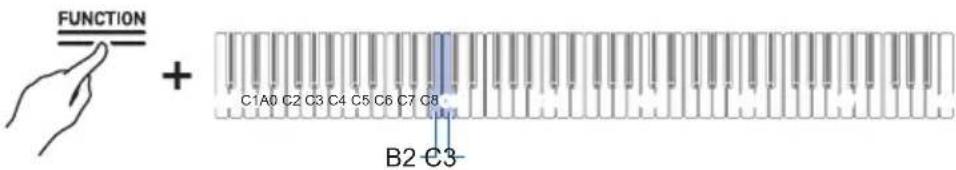FUNCTION + C1A0 C2 C3 C4 C5 C6 C7 C8 B2 C3-
