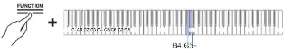 FUNCTION + C1A0 C2 C3 C4 C5 C6 C7 C8 B4 C5-