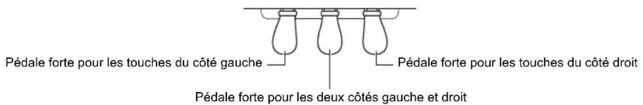 Pédale forte pour les touches du côté gauche Pédale forte pour les touches du côté droit Pédale forte pour les deux côtés gauche et droit