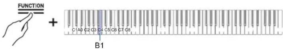 FUNCTION + C1A0 C2 C3 C4 C5 C6 C7 C8 B1