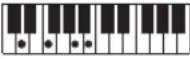 CASIO Casiotone LK-S245 - REMARQUE - 111