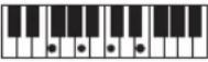 CASIO Casiotone LK-S245 - REMARQUE - 54