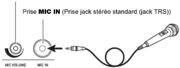 Prise MIC IN (Prise jack stéréo standard (jack TRS)) MIC VOLUME MIC IN