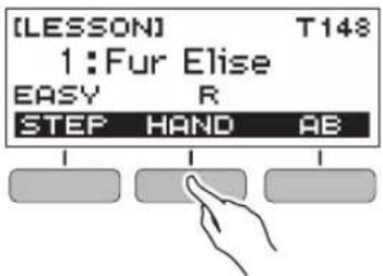 [LESSON] T148 1:Fur Elise EASY R STEP HAND AB