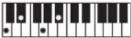 CASIO Casiotone LK-S245 - REMARQUE - 43