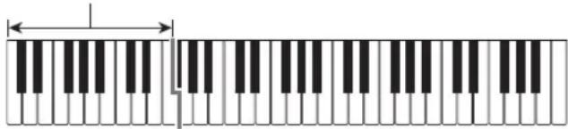 CASIO Casiotone LK-S245 - ■CASIO CHORD - 1