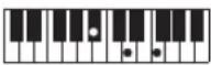 CASIO Casiotone LK-S245 - REMARQUE - 119