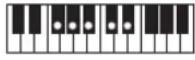 CASIO Casiotone LK-S245 - REMARQUE - 211