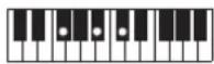 CASIO Casiotone LK-S245 - REMARQUE - 115