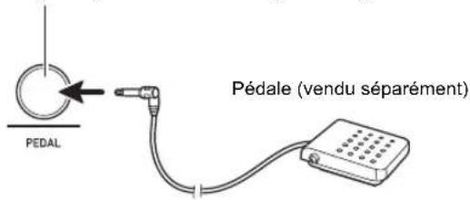 PEDAL Pédale (vendu séparément)