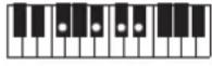 CASIO Casiotone LK-S245 - REMARQUE - 217
