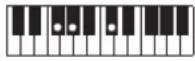 CASIO Casiotone LK-S245 - REMARQUE - 145