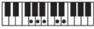 CASIO Casiotone LK-S245 - REMARQUE - 212