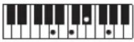 CASIO Casiotone LK-S245 - REMARQUE - 172