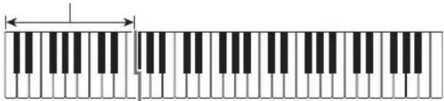 CASIO Casiotone LK-S245 - FINGERED - 1