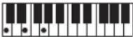 CASIO Casiotone LK-S245 - REMARQUE - 1