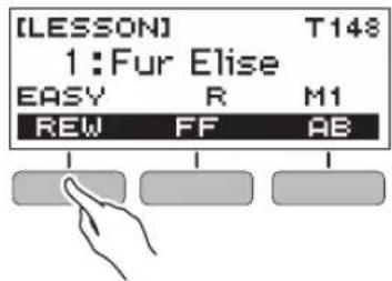 [LESSON] T148 1:Fur Elise EASY R M1 REW FF AB