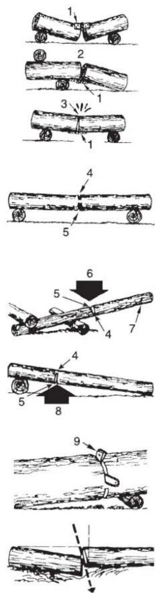 Shindaiwa 410EC - PRECAUCIÓN - 1