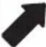 COSATTO Acorn i-Size - Signification des symboles : - 4
