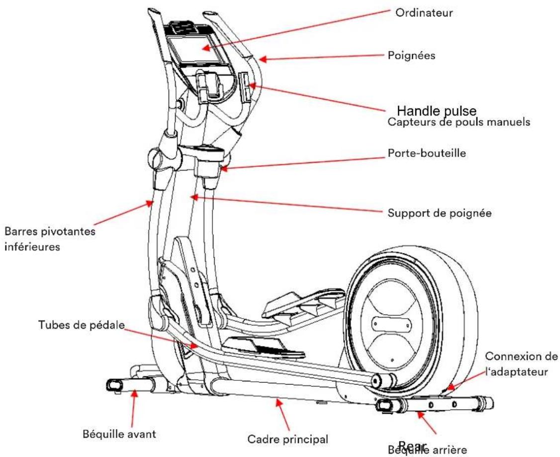 Skandika Carbon P28-R - ASSEMBLÉES : - 1