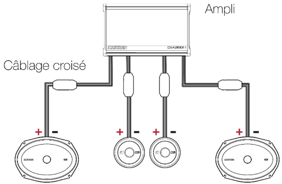 Ampli Câblage croisé CÔLÉRÉO1