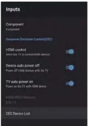 RCA RS42F3 - ENTRÉES - 2