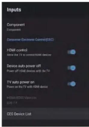 RCA RS42F3 - INPUTS - 2