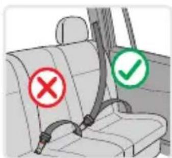 Lorelli Joy - TYPE DES CEINTURES APPROUVÉES QUE VOUS DEVEZ AVOIR DANS LA VOITURE - 1