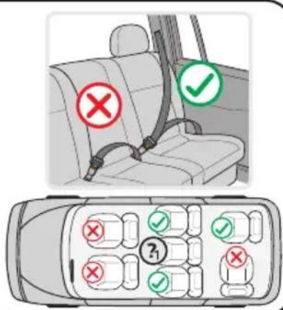 Lorelli Teddy - TYPE DE CEINTURES AGRÉÉES QUE VOUS DEVEZ AVOIR DANS LA VOITURE - 2