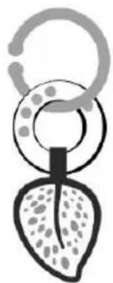 Kindercraft TIPPY - TIPPY - 4