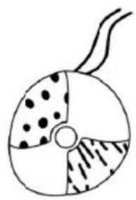 Kindercraft EDUMEE - 12