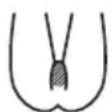 BRAUN Skin-i.expert Pro PL7253 - Intiimialueen käsittely (koskee vain naisia) - 2