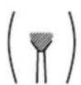 BRAUN Skin-i.expert Pro PL7253 - Hoe de schaamstreek moet worden behandeld (alleen vrouwen) - 1