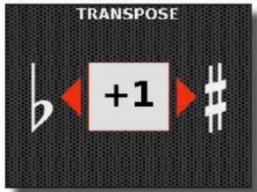 KORG Fisa Suprema - Appuyez sur le bouton [TRANSPOSE]. - 2