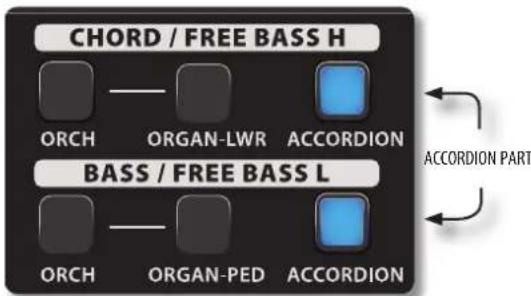 KORG Fisa Suprema - Jouer la partie ACCORDION à l'aide du clavier à boutons - 1