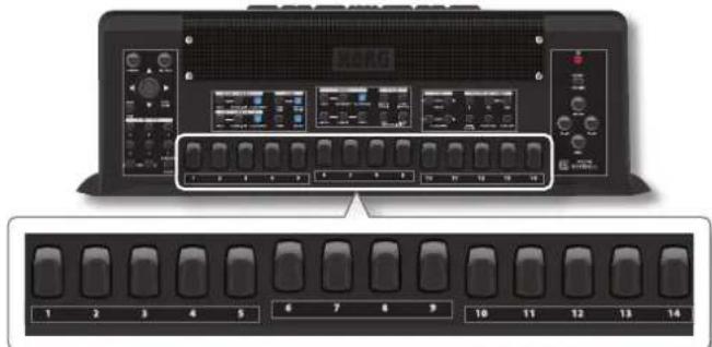 KORG Fisa Suprema - MÉMO - 1