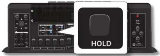 KORG Fisa Suprema - Comment tenir des notes dans la section Bass & Chord (main gauche) - 1