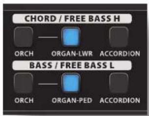 KORG Fisa Suprema - Mode orgue (mode facile) - 2