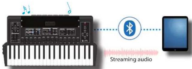 KORG Fisa Suprema - Utilisation de l'audio Bluetooth - 1
