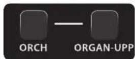 KORG Fisa Suprema - Jouer plus de parties sur l'ensemble du clavier Treble (Layer) - 2