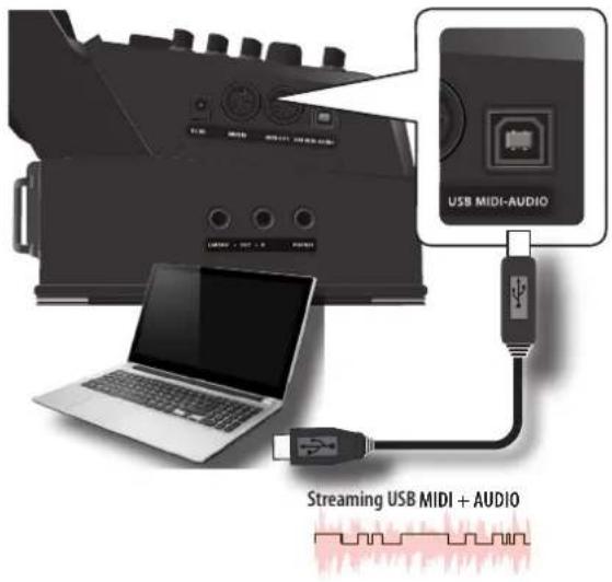 KORG Fisa Suprema - NOTE - 1